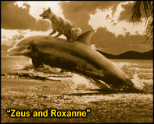 [Zeus and Roxanne]