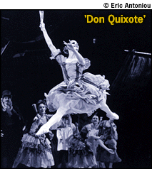 'Don Quixote'