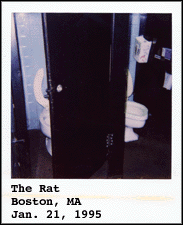 [The Rat]