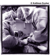 Orthopedic Surgery