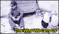 Wind will carry us
