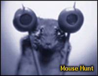 Mouse Hunt