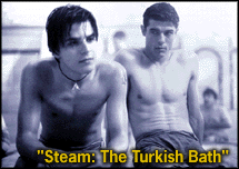 Steam: The Turkish Bath